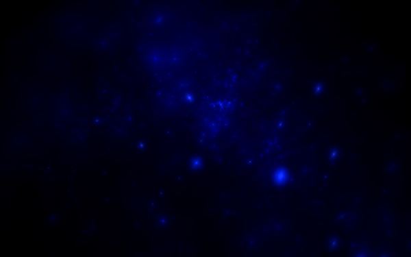 Apo7X-231107-11
