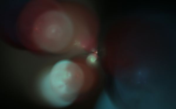 Apo7X-250816-8