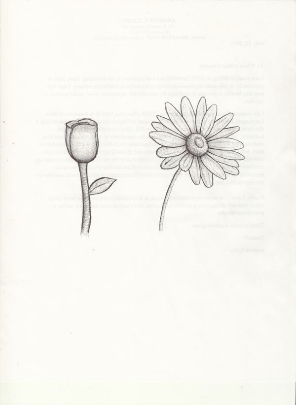 Misc Flowers
