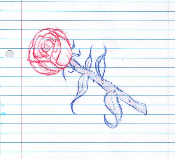 Rose