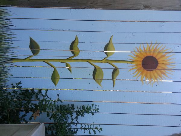 Sunflower 1